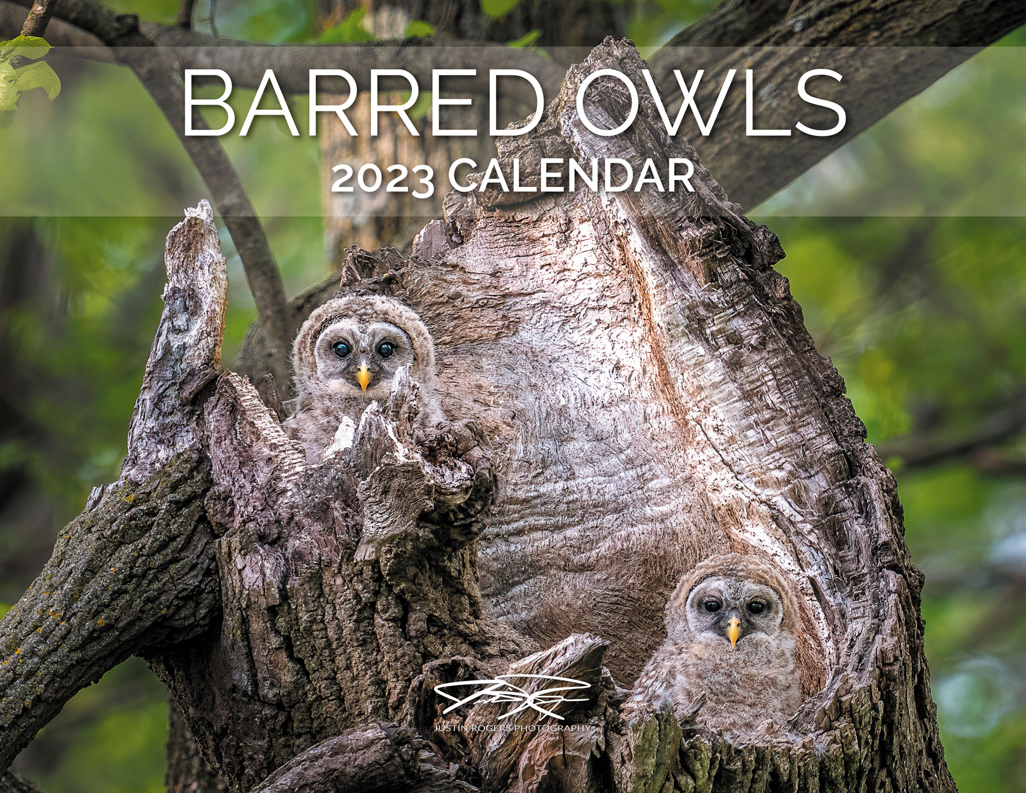 2023 Calendar: Barred Owls